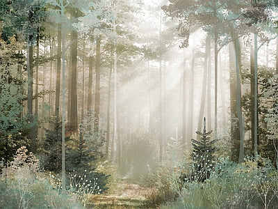 Papier peint rayons dans la forêt, aperçu du design