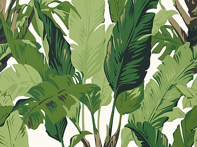 Aperçu de Papier peint feuilles de bananier – Salon sur votre mur
