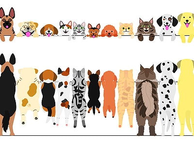 Papier peint rangée de chiens, aperçu du design