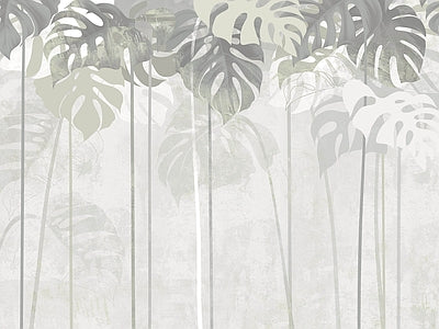 Aperçu de Papier peint monstera et bouleaux – Salon sur votre mur