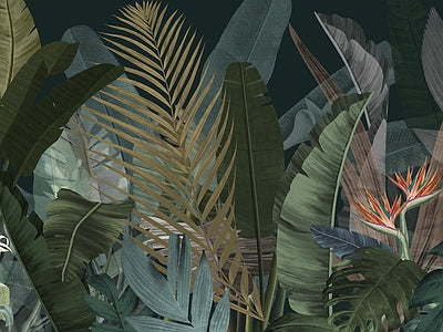 Aperçu de Papier peint jungle sombre – Chambre bébé sur votre mur