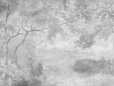 Aperçu de Papier peint jungle dans le brouillard – Salon sur votre mur