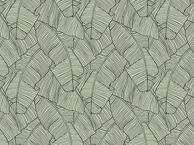Papier peint feuilles au trait sauge, aperçu du design