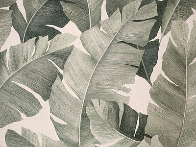 Papier peint bananier vert de gris, aperçu du design