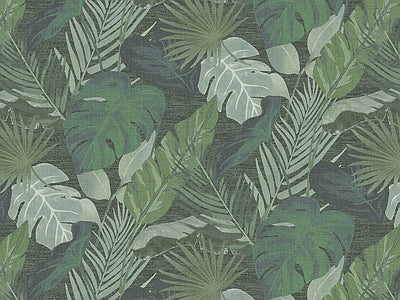 Aperçu de Papier peint feuillage vert profond – Salon sur votre mur