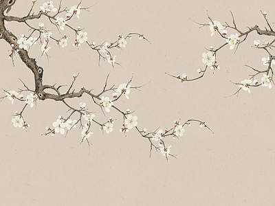 Papier peint branche blanche sur taupe, aperçu du design