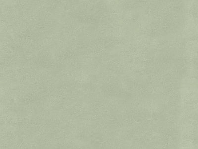 Aperçu de Papier peint sauge douce – Salon sur votre mur