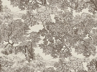Aperçu de Papier peint forêt dense gravée – Salon sur votre mur