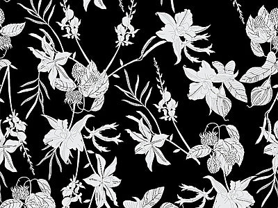 Papier peint fleurs blanches sur noir, aperçu du design