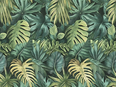 Papier peint monstera vert profond, aperçu du design