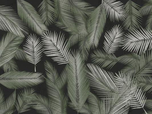 Papier peint palmes sur fond noir, aperçu du design