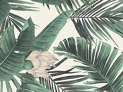 Aperçu de Papier peint palmes vert d'eau – Salon sur votre mur